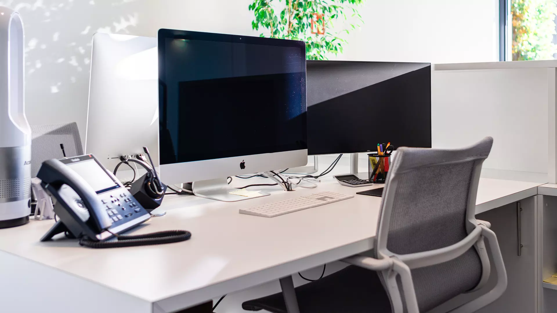 Digitale Zusammenarbeit mit Microsoft 365, Teams, Dateien und moderner Arbeitsorganisation